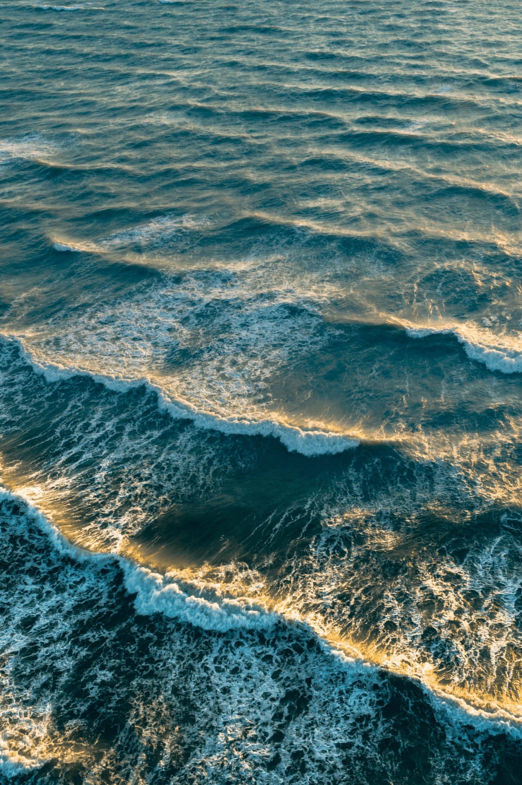 Journée Européenne de la Mer