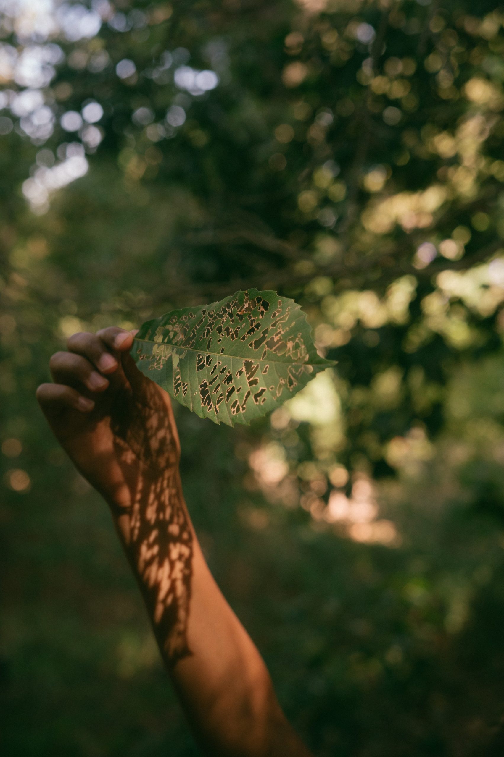 Importancia de la Certificación Ecolabel